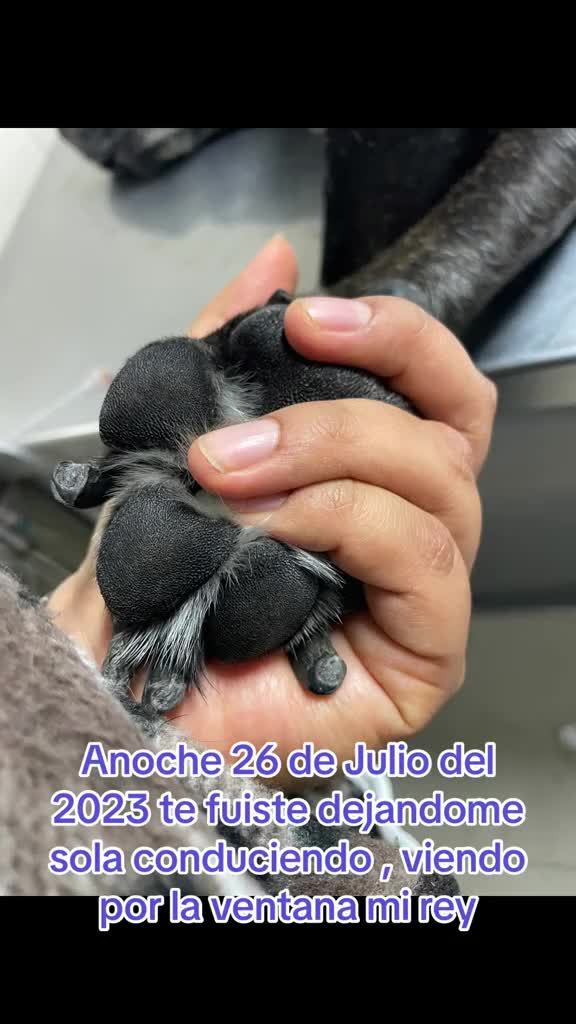 @jenvvxyz