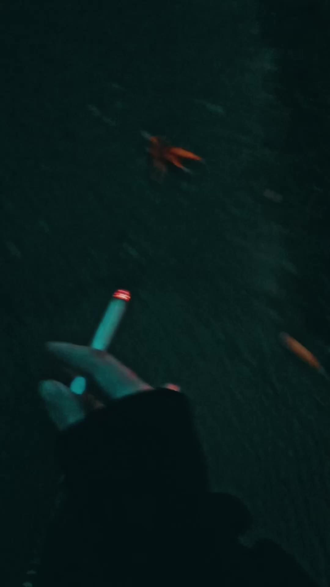 @fuck.it