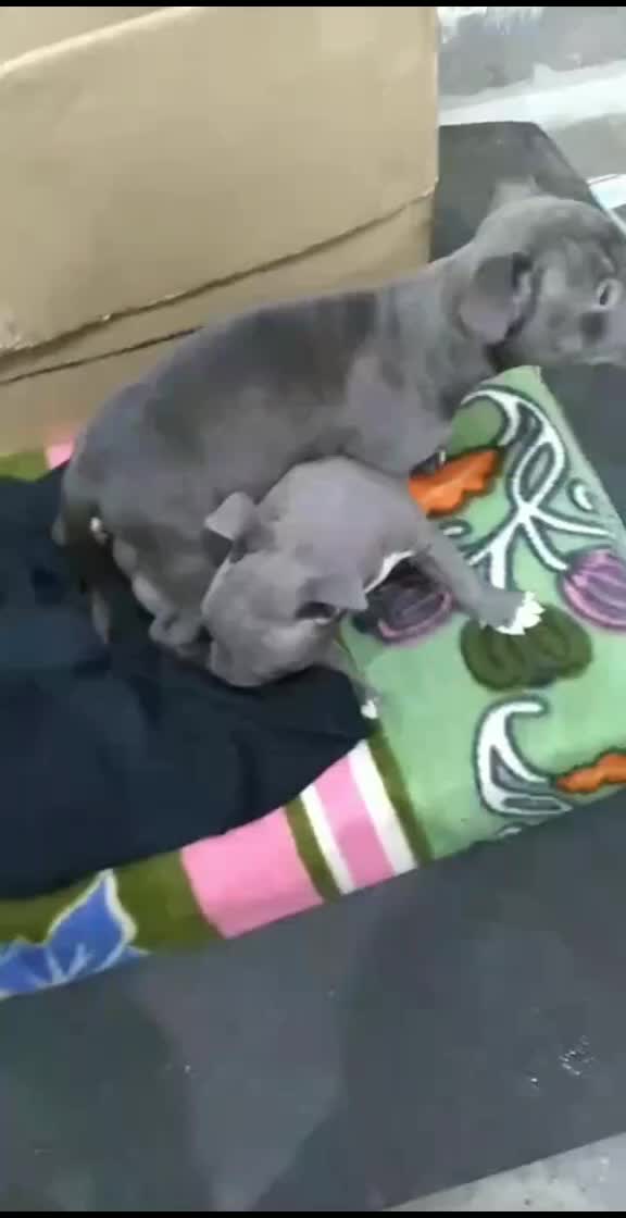 @Sanki_Khopadi😈