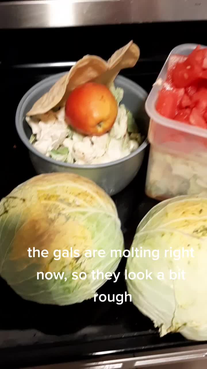 @ArtisticChickenButt