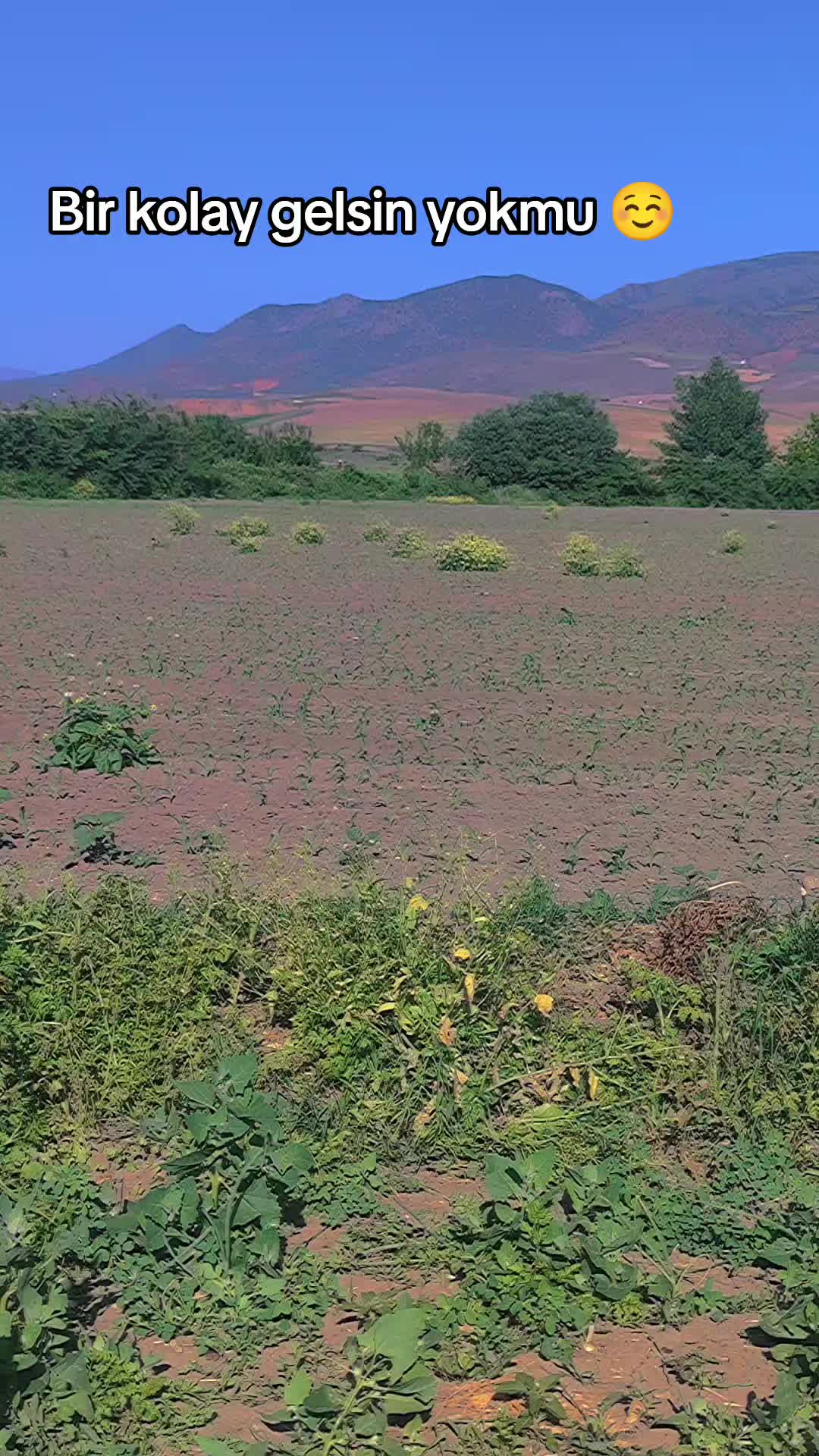 @Güla kerejdağe
