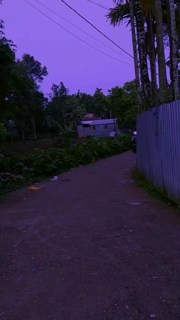 @Nandita Raha
