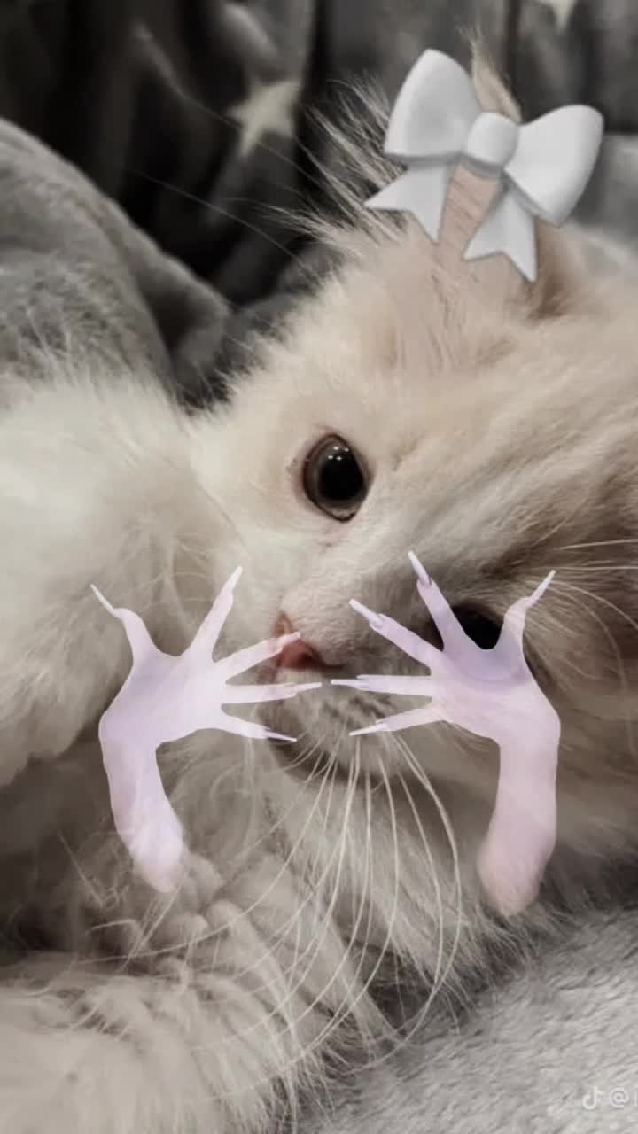 @𝐤𝐚𝐭𝐲𝐚𝐱𝐰𝐪_🐈⬛