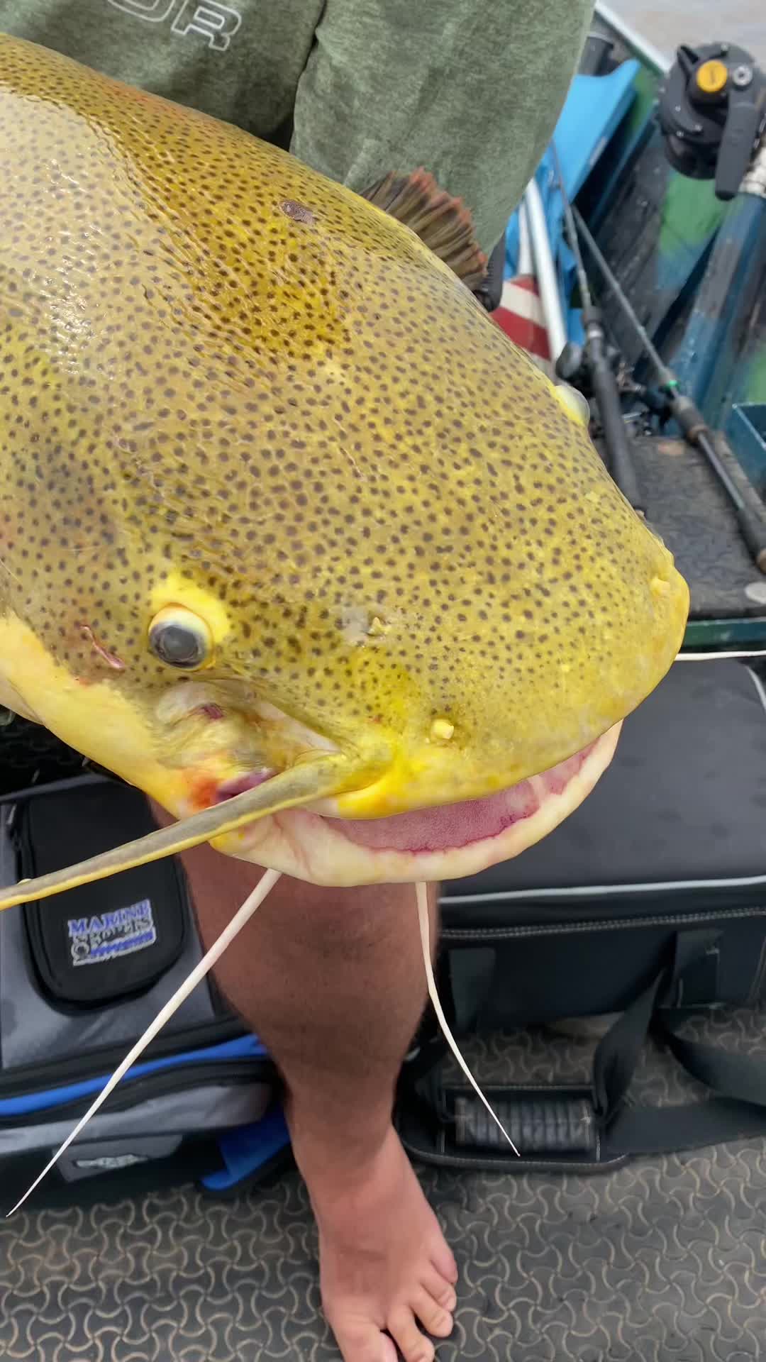 @VIDA DE PESCADOR