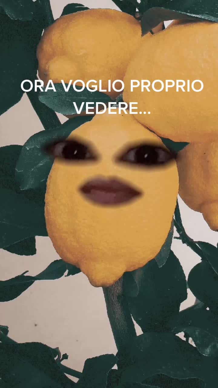 @M I D I S S O C I O