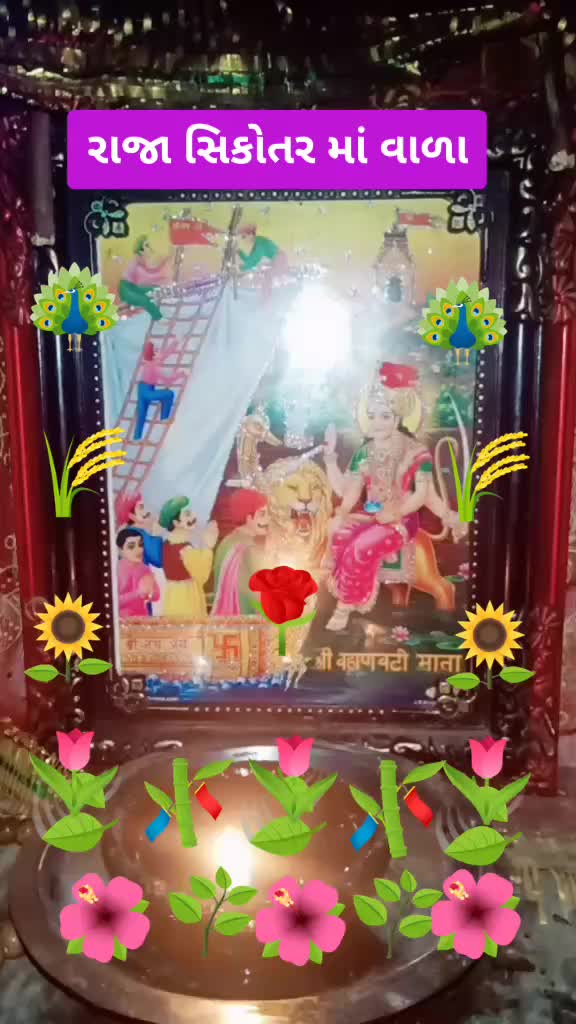 @savubhai655739સરવણજી
