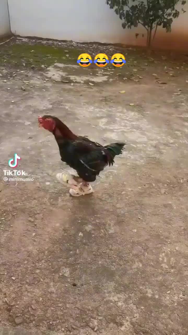 @hayat_buysa_üstü_ kalsın.