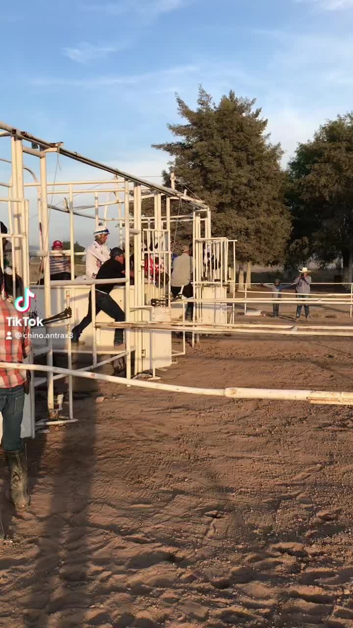 @chino.antrax3