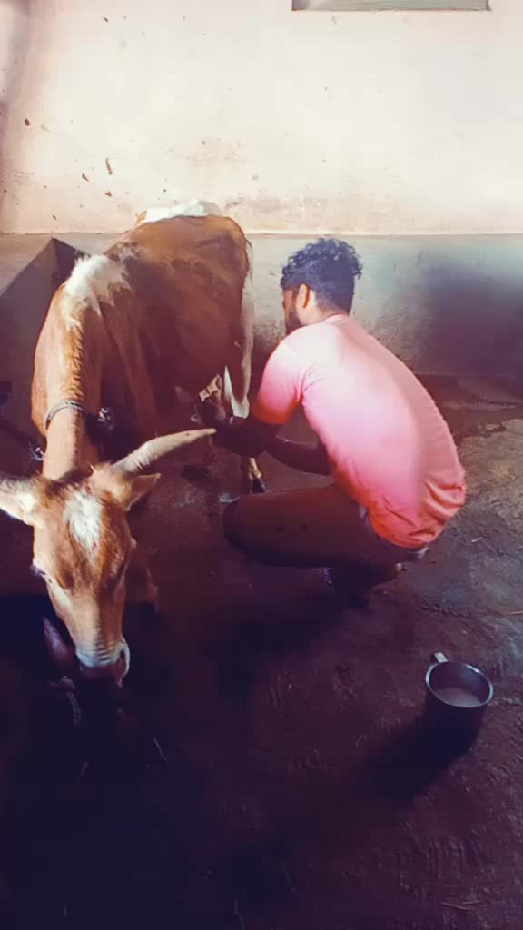 @Vijetha kundapura