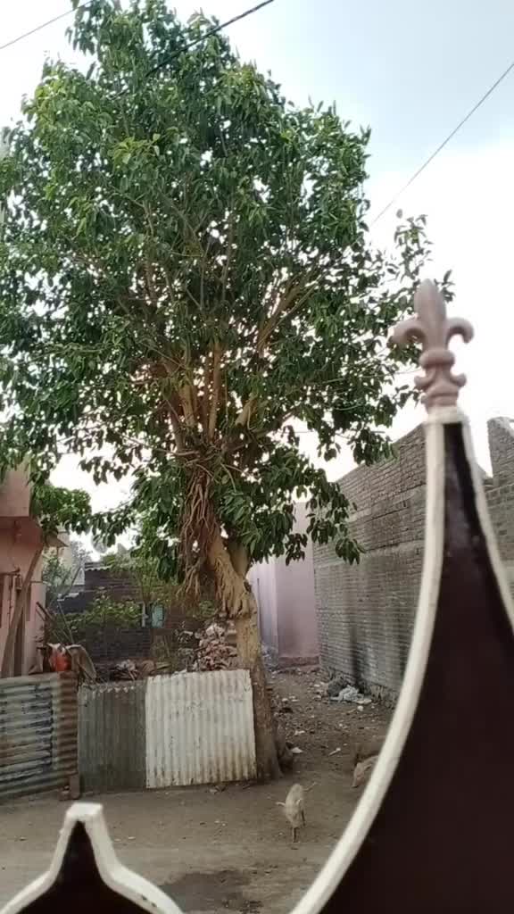 @હટેલો_vaઘેR 👑Mr.k