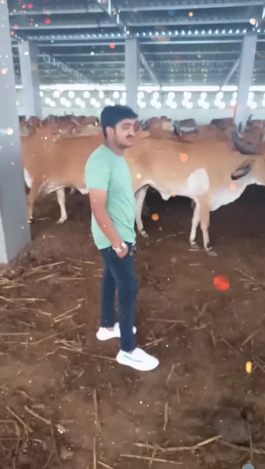 @બાલંભડી નો ભરવાડ