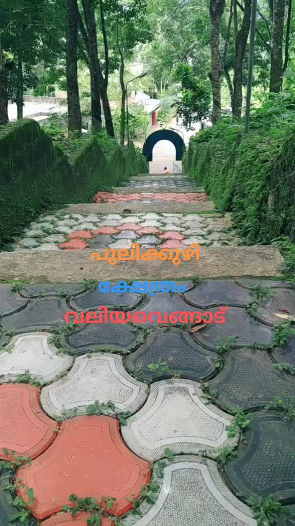 @Saji Sharma