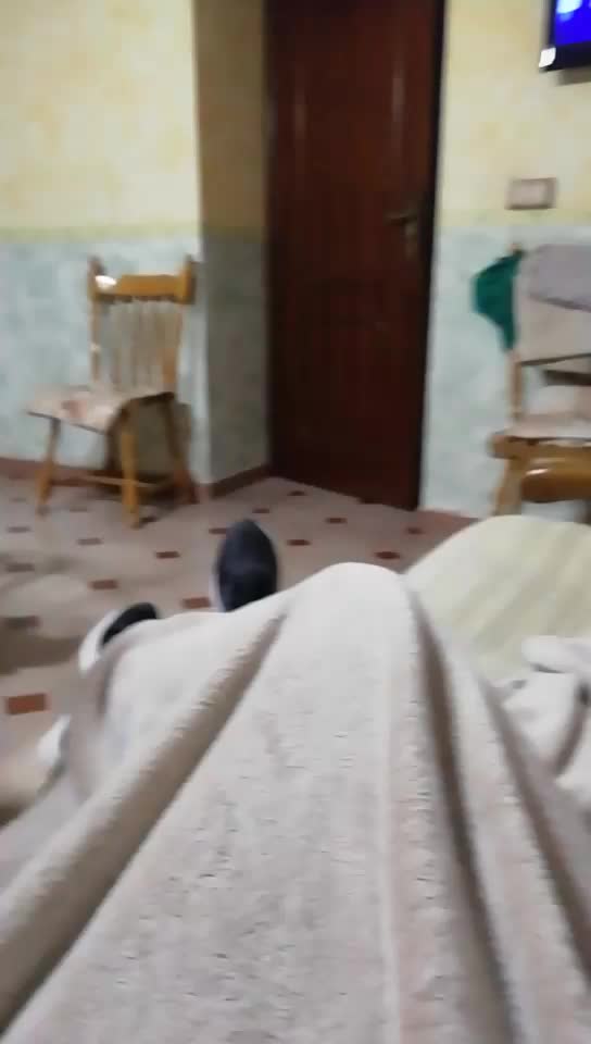 @Marilena De Lillo