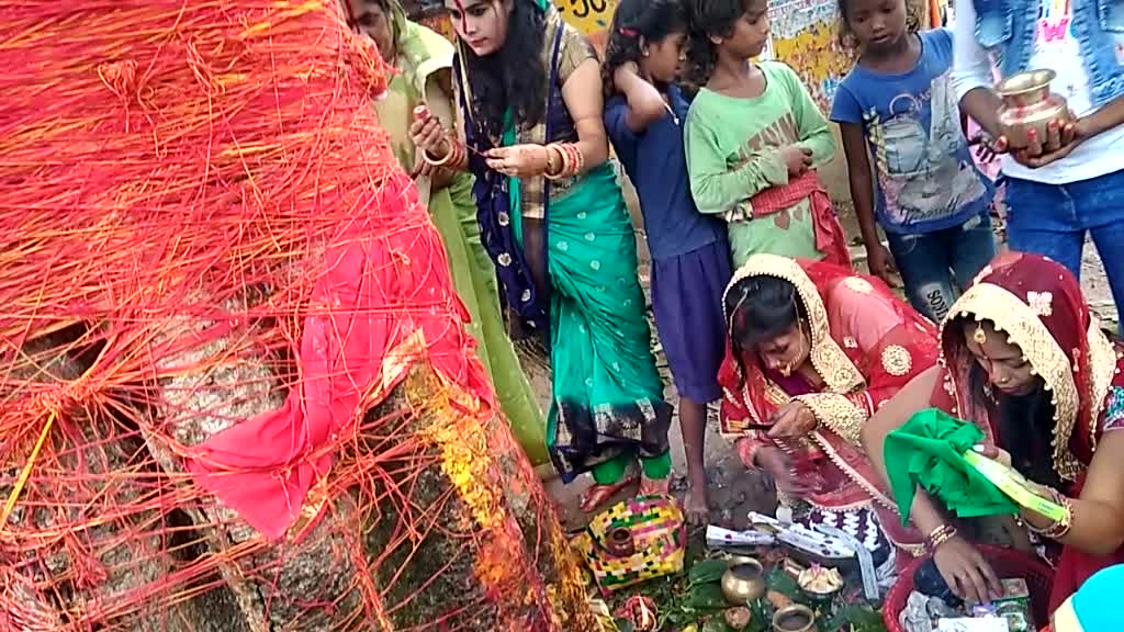 @Damini roy
