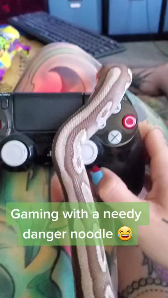 @Dicentra