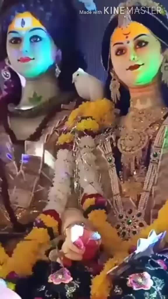 @💗Shyama Verma💗