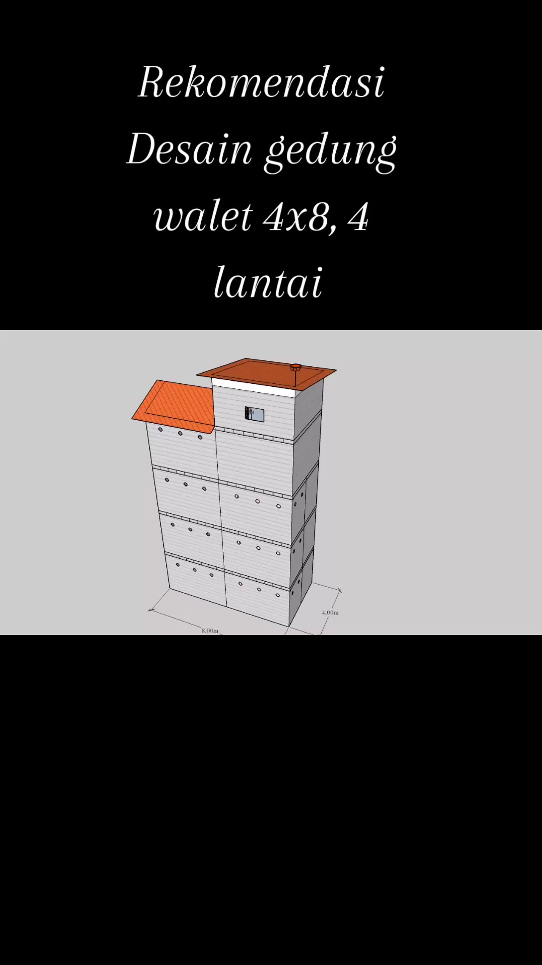 @Walet Rimba Kalimantan