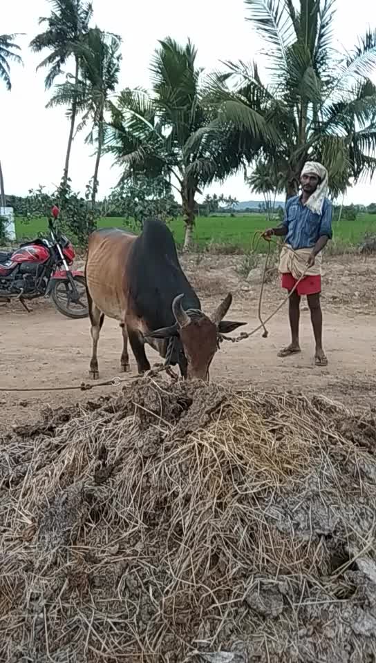 @ரஞ்சித்அய்யனார்குளம்