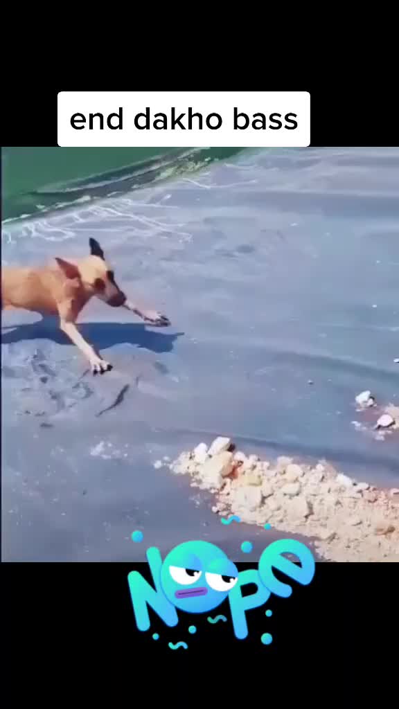 @modalyadvindersingh