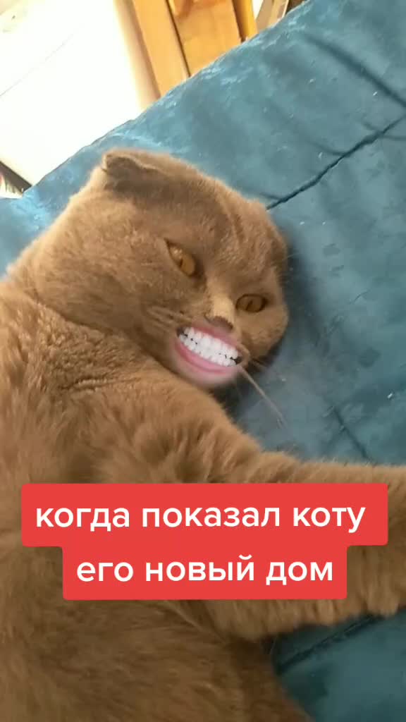 @user13819744735