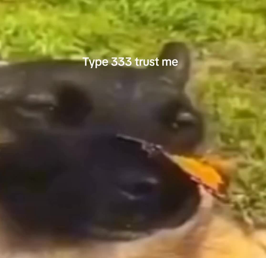 @Usdus