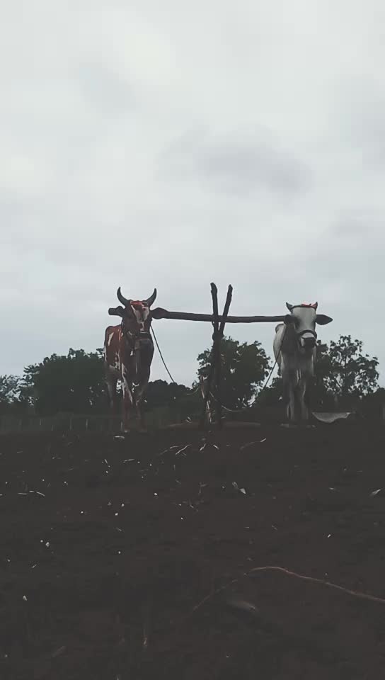 @a. shivakumaranna