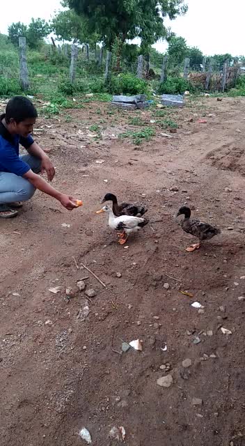 @M.A.HAMEED