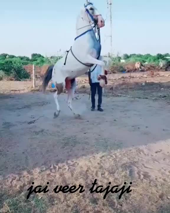 @Mansa Bhati
