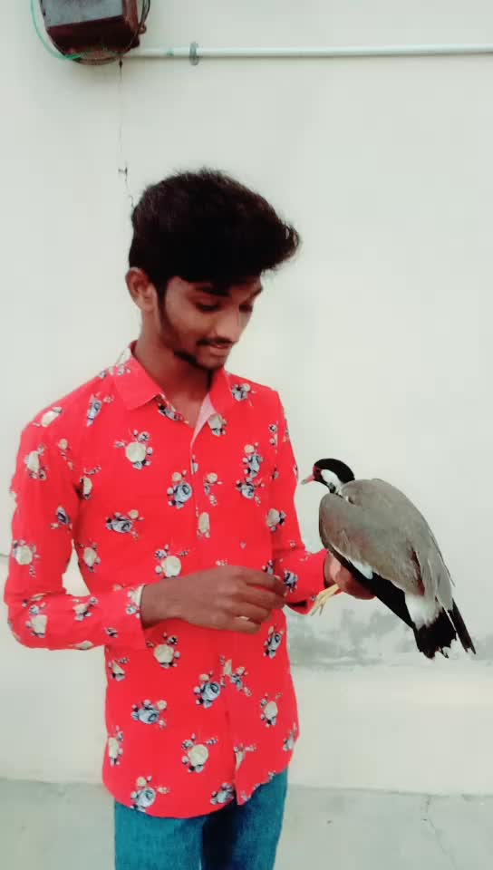 @Sai krishna