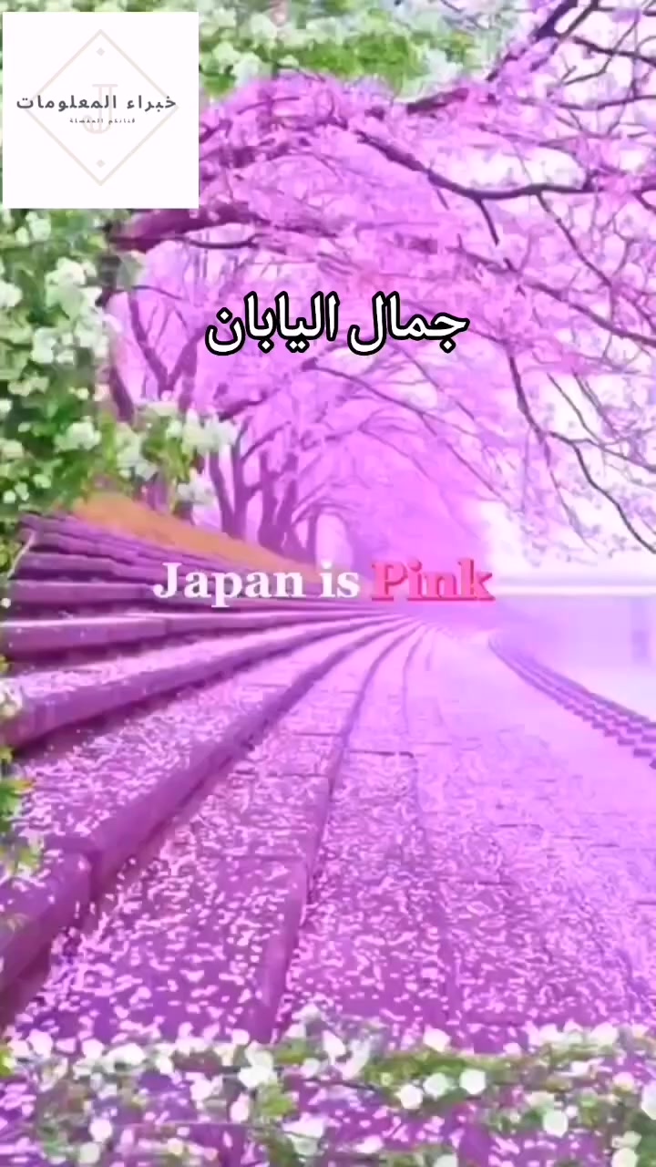 @المعلومات الثقافية المفيدة