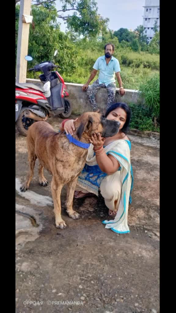 @gayatri nayak