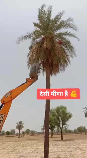 @राजेश बासणा