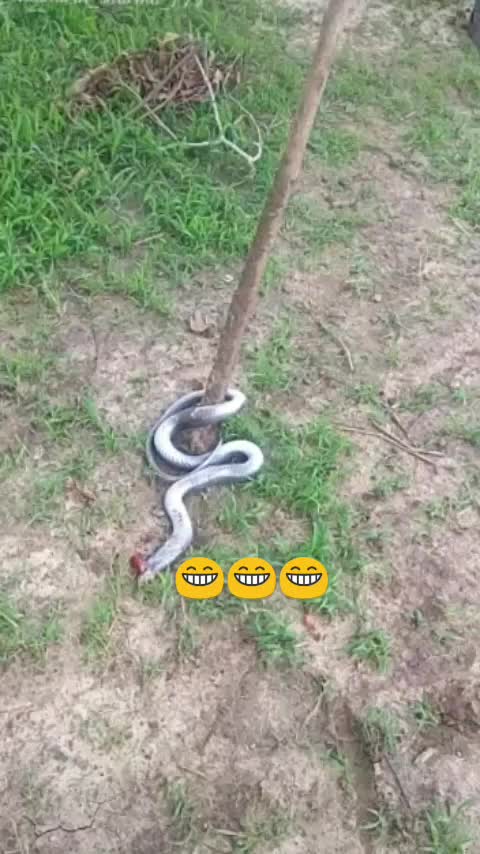 @siddharth sharma 777