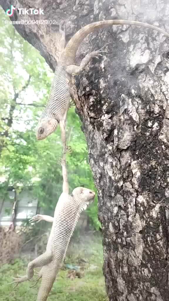 @Sad Boy 😔 Kanha