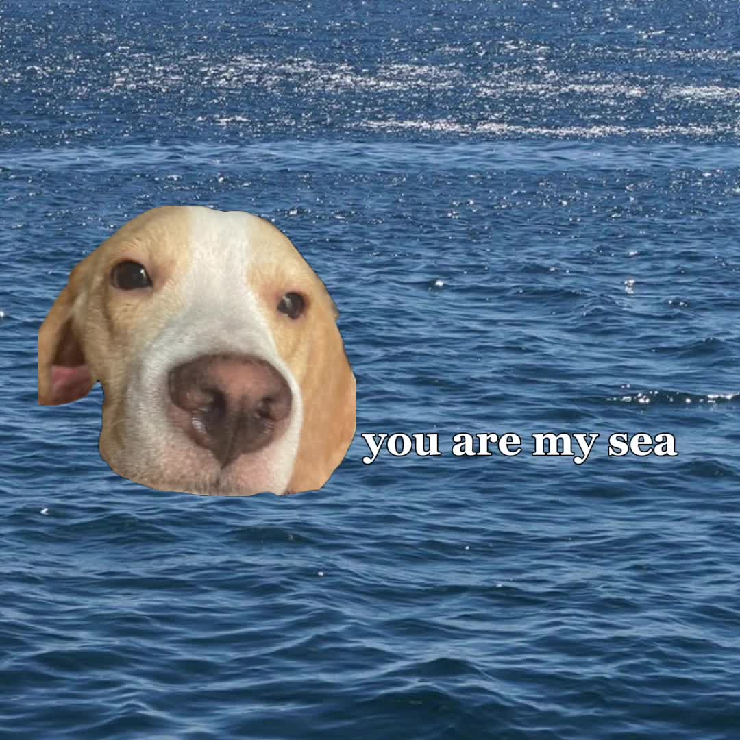 @Cooper