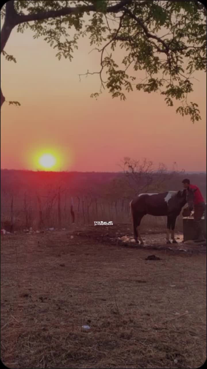 @Letícia Souza🥰