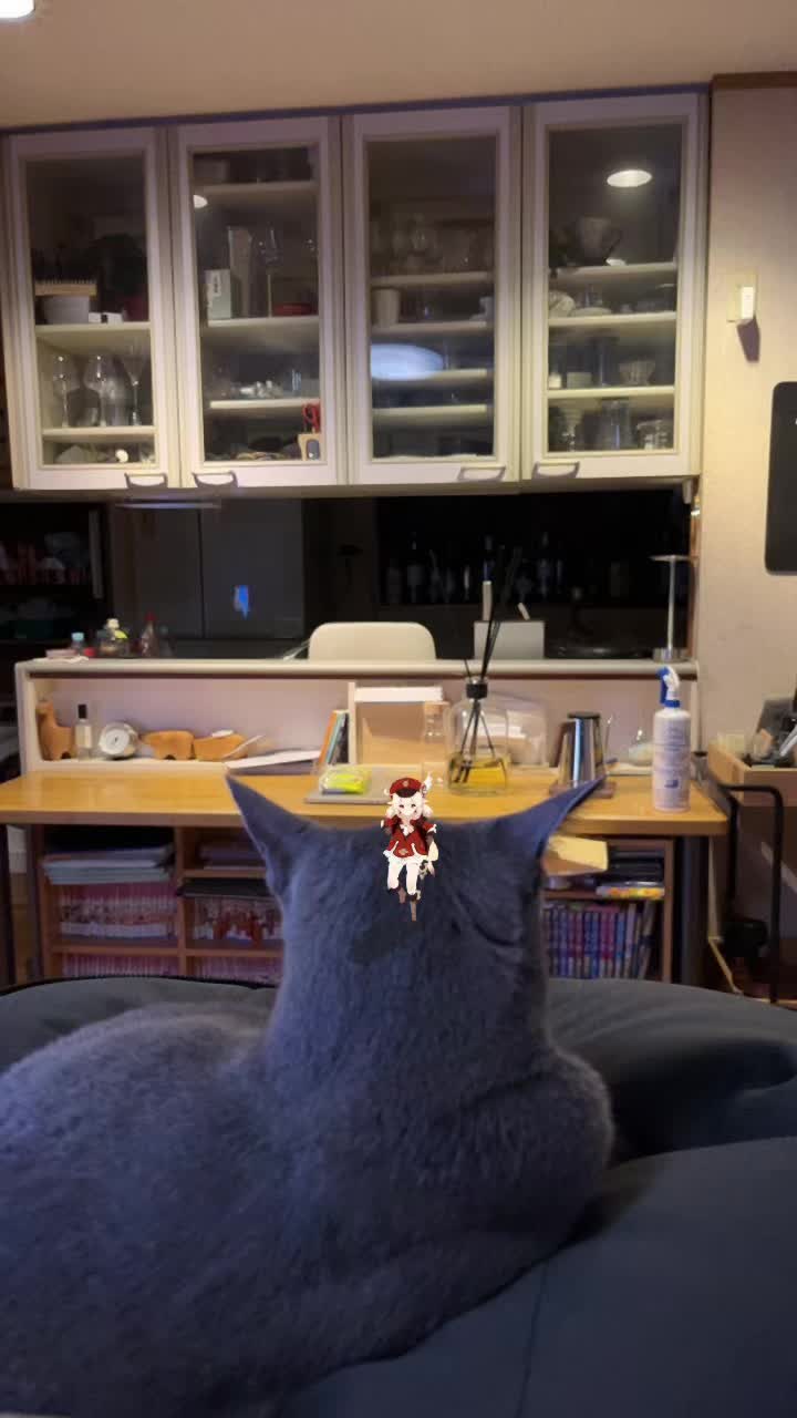 @carbuncle20190515