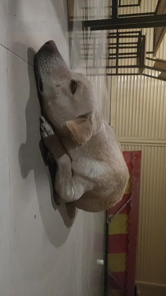 @Naveen Naveen