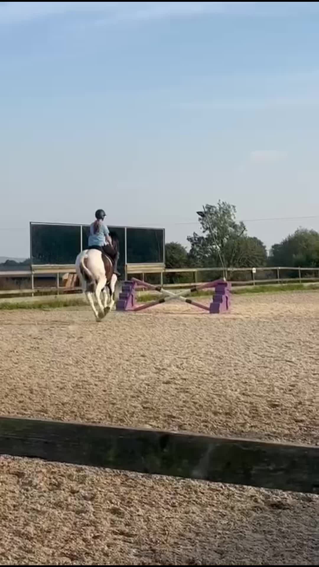 @Ruby🐴