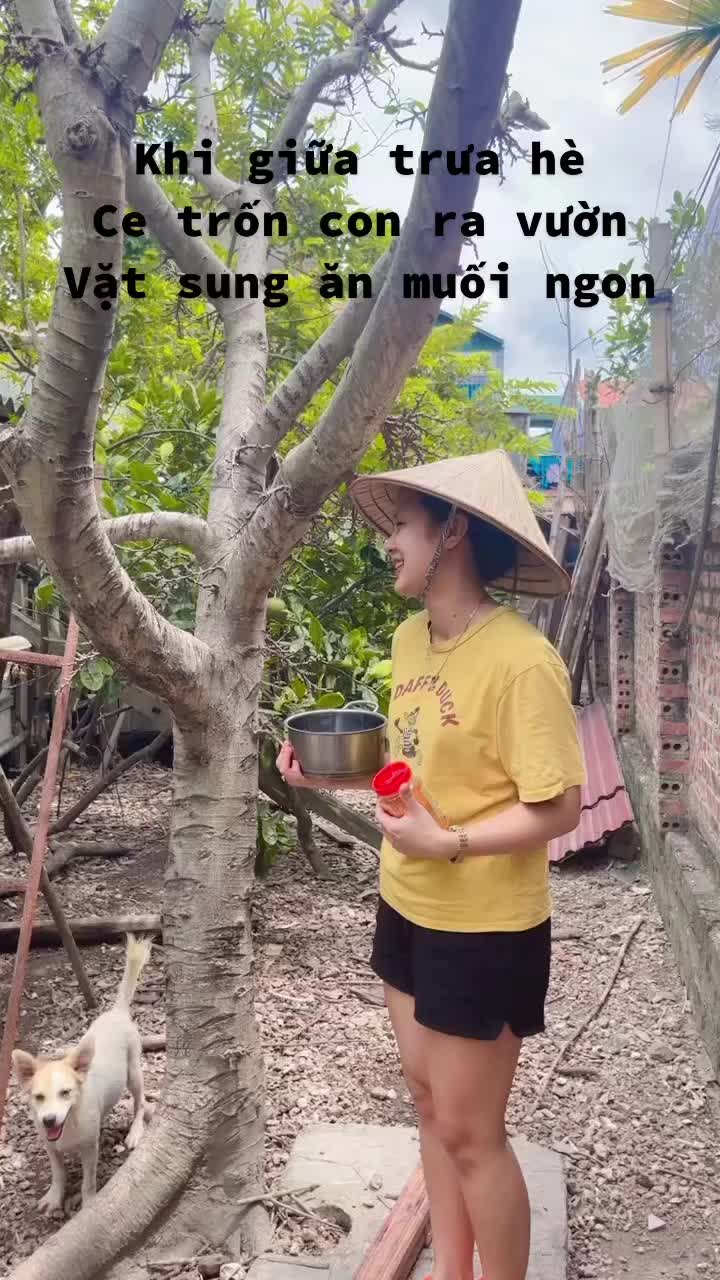 @Nh&agrave; Kiến