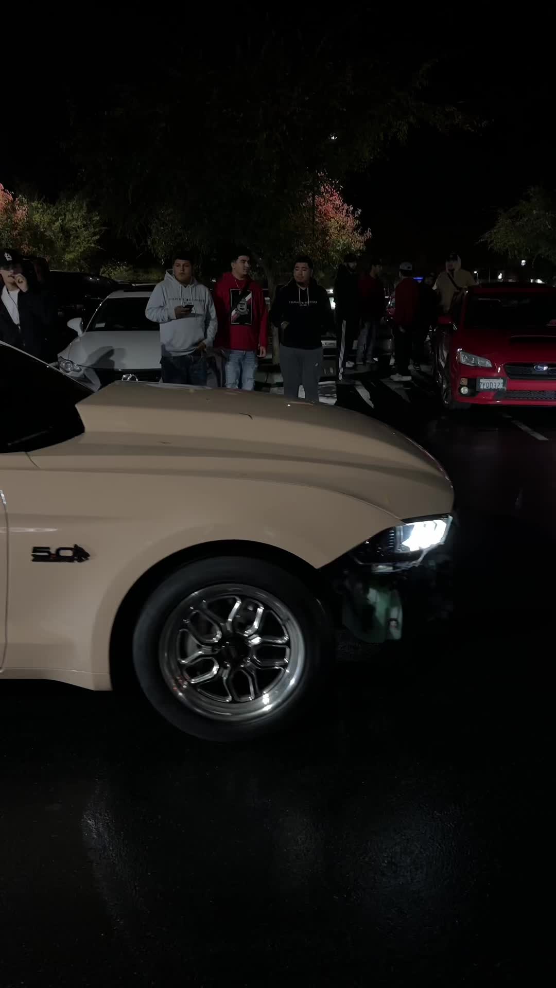 @209_cars