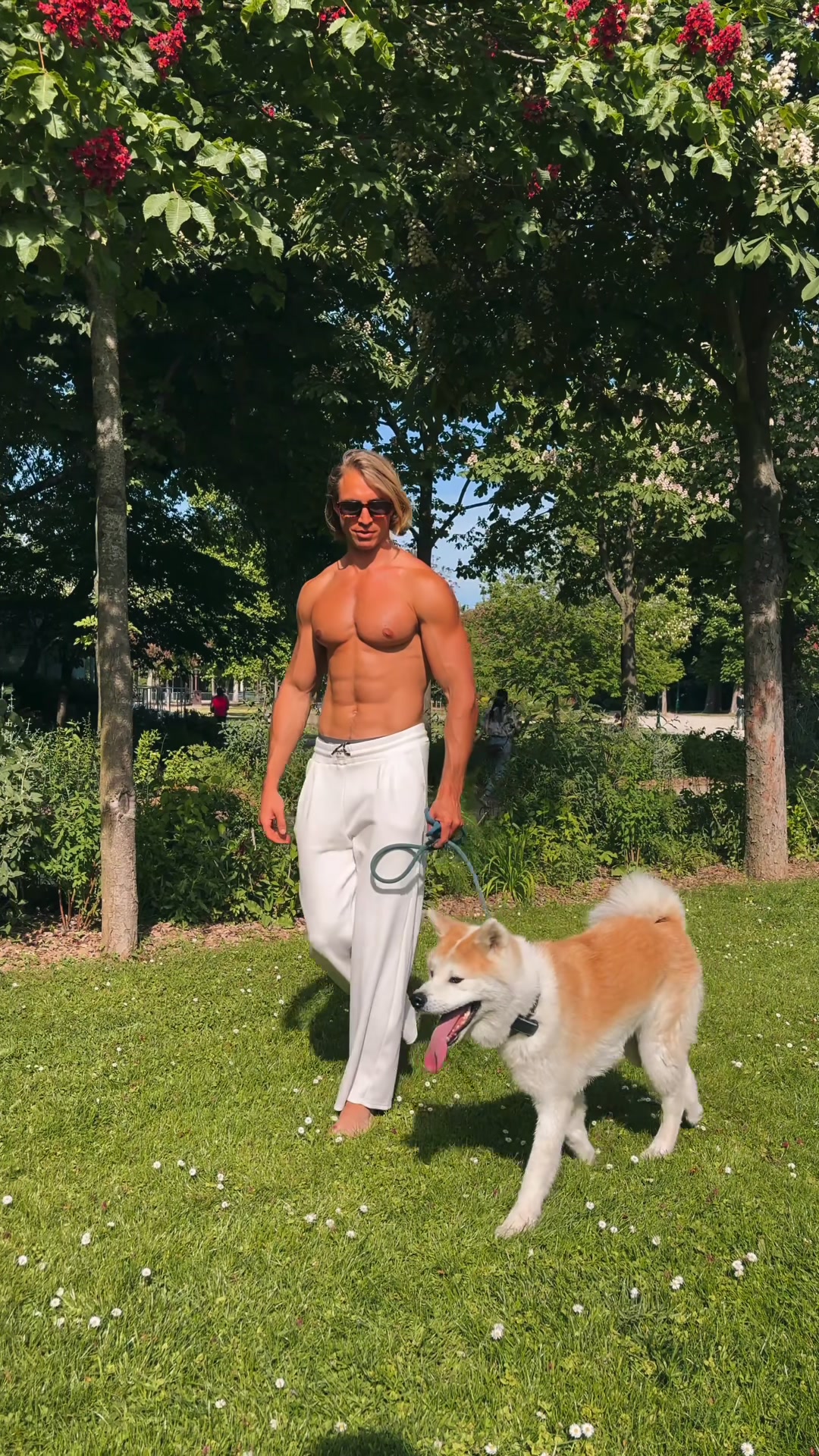 @Pierrotmuller