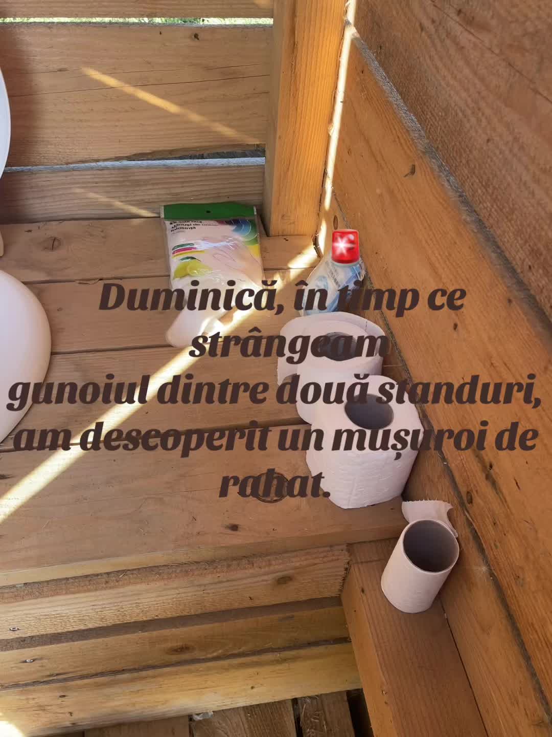 @Balta Turcoaia