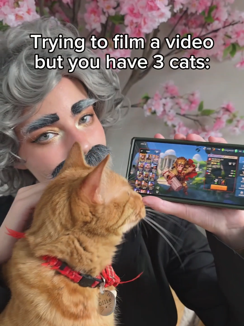 @Halcybella on IG, YT, SC