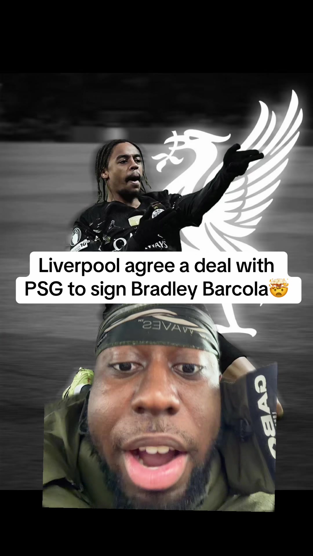 @meckzutd