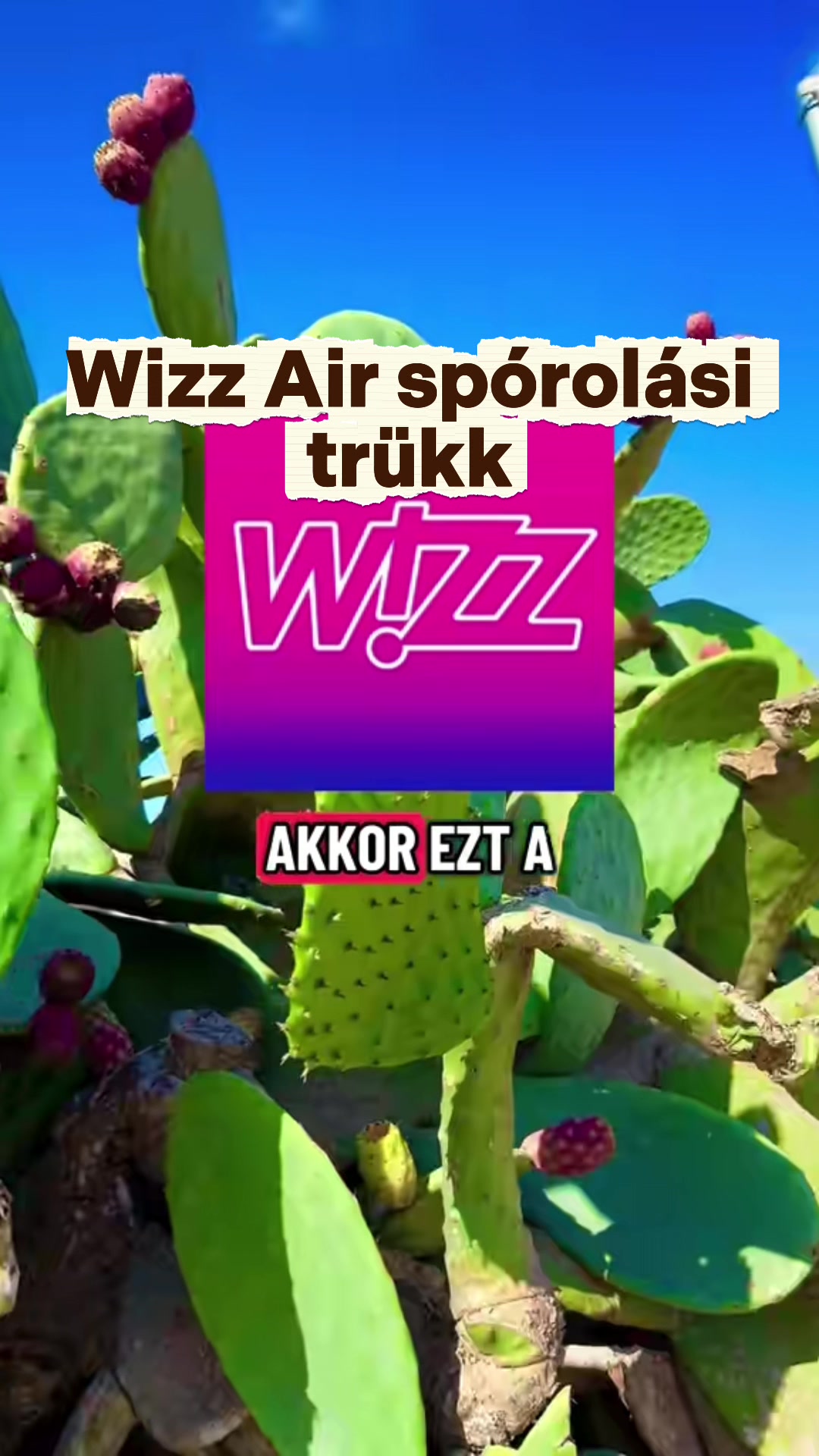 @Anna🌍✈️ | Utazás & Programok