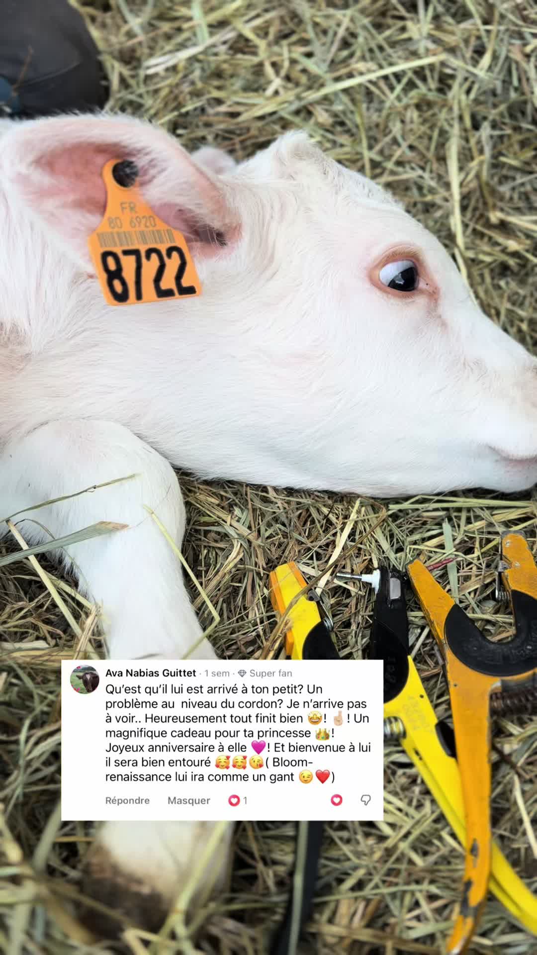 @ᏦᎥᎥᏦᏗᏗ 🌾🚜🐮