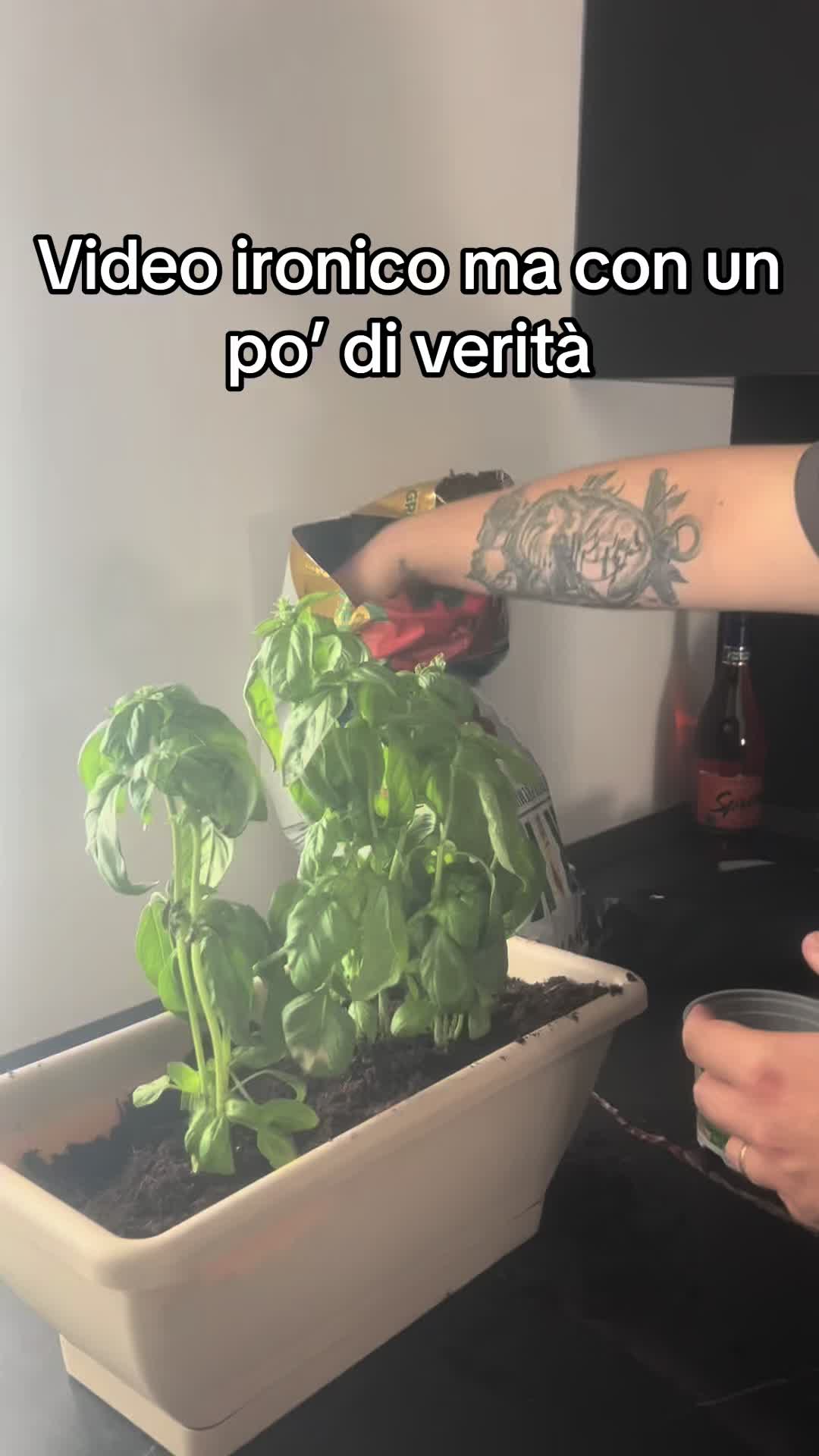 @SarahFrancesco💍