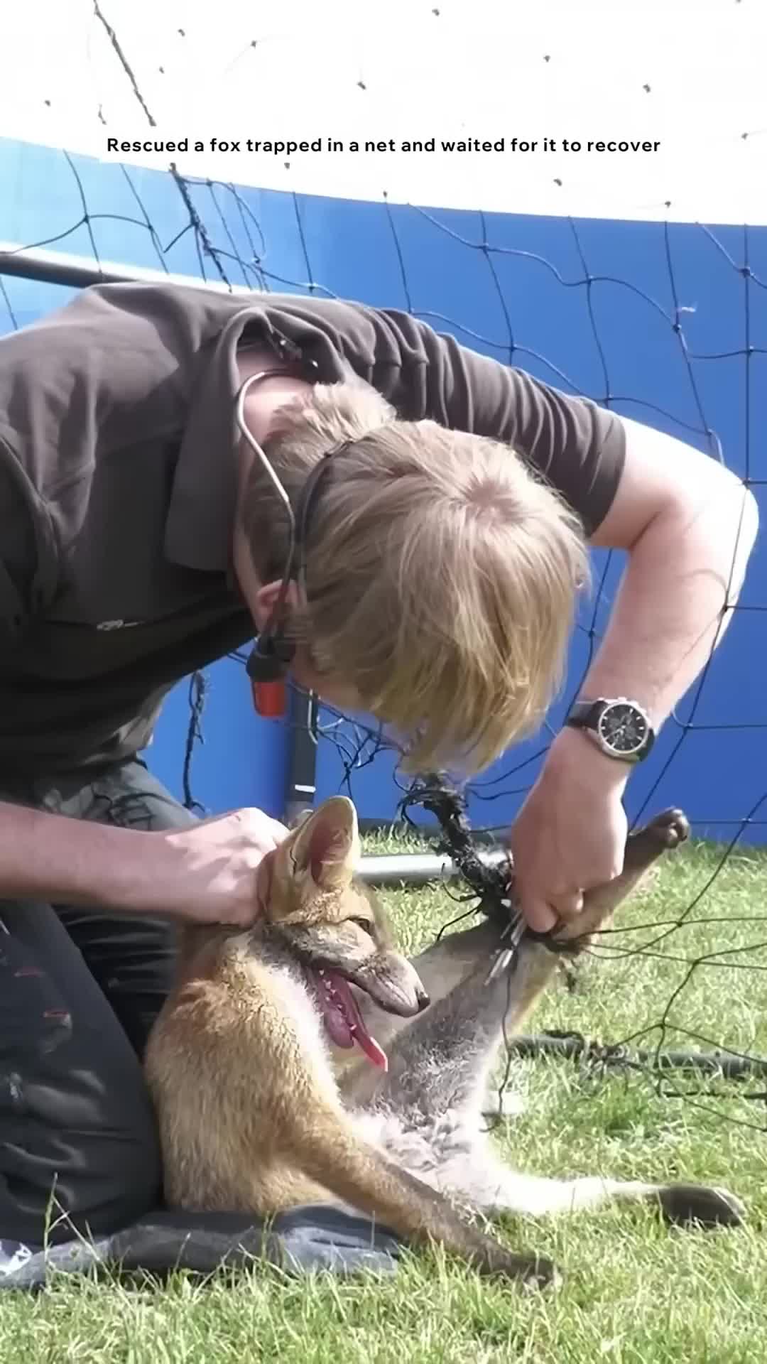 @Dynamic_rescue