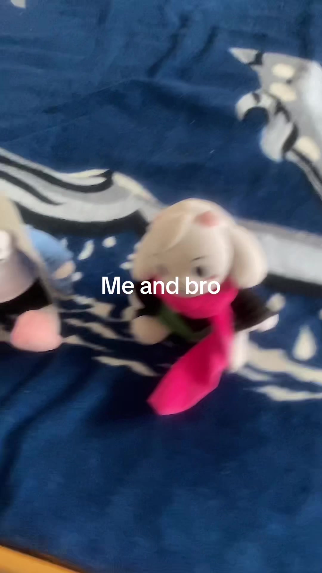 @Ralsei plush owner 25